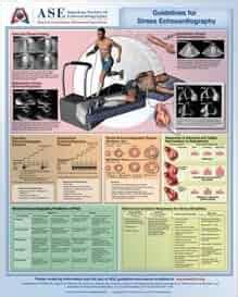 stress echocardiogram results|The Latest ASE Guidelines for the Performance, Interpretation, .